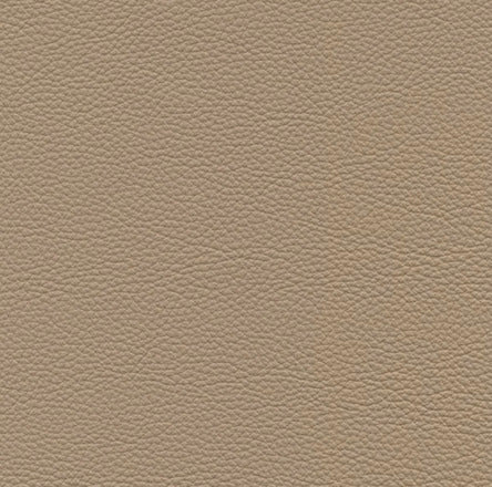 Leather and Fabric Samples | S10Home