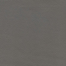 Leather and Fabric Samples | S10Home