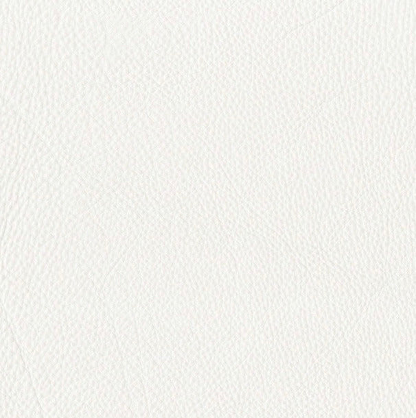 Leather and Fabric Samples | S10Home